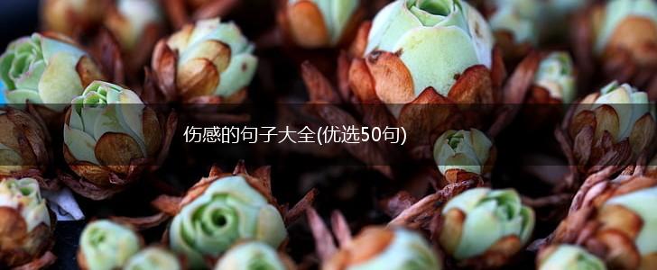伤感的句子大全(优选50句),第1张