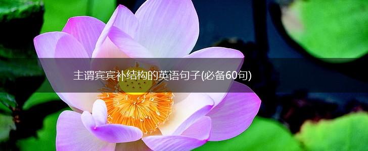 主谓宾宾补结构的英语句子(必备60句),第1张