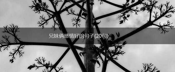 兄妹俩感情好的句子(20句),第1张