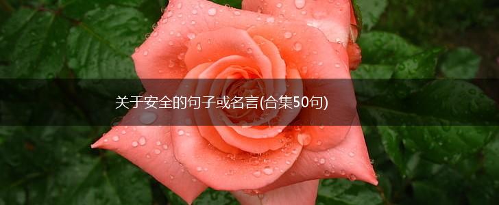 关于安全的句子或名言(合集50句),第1张