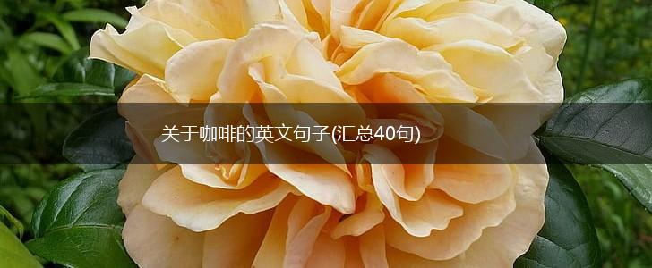 关于咖啡的英文句子(汇总40句),第1张