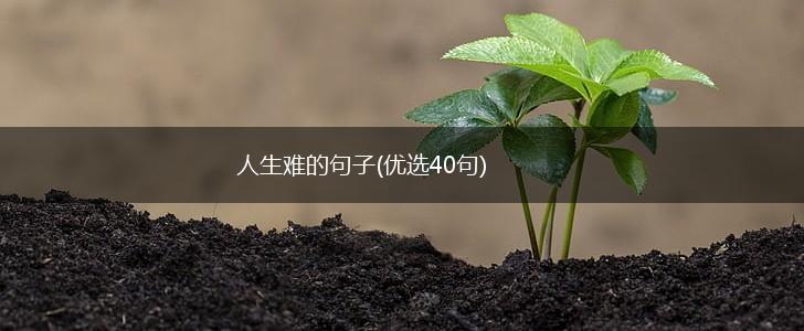 人生难的句子(优选40句),第1张