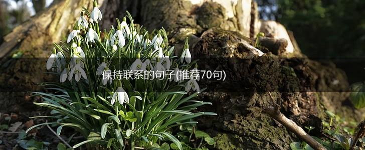 保持联系的句子(推荐70句),第1张