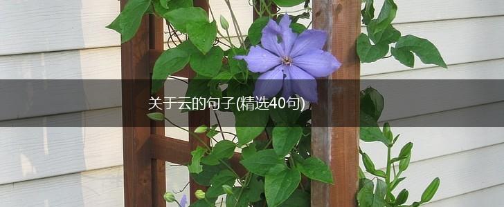 关于云的句子(精选40句),第1张