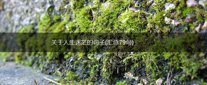 关于人生迷茫的句子(汇总79句),第1张