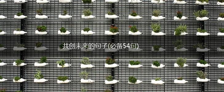 共创未来的句子(必备54句),第1张