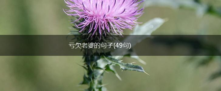 亏欠老婆的句子(49句),第1张