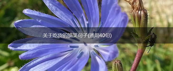 关于吃货的搞笑句子(通用40句),第1张