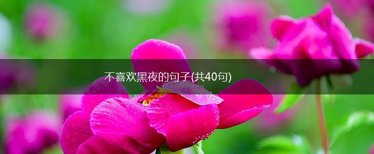 不喜欢黑夜的句子(共40句),第1张