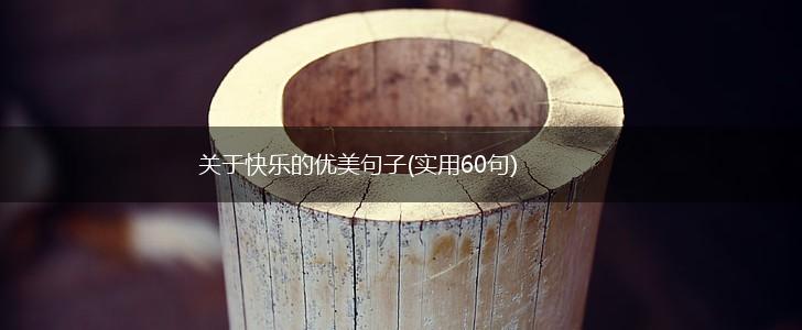 关于快乐的优美句子(实用60句),第1张