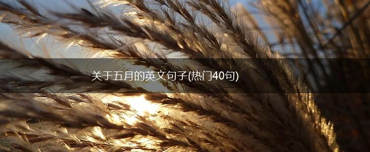关于五月的英文句子(热门40句),第1张