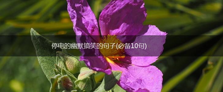 停电的幽默搞笑的句子(必备10句),第1张