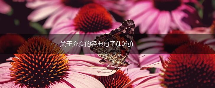 关于充实的经典句子(10句),第1张