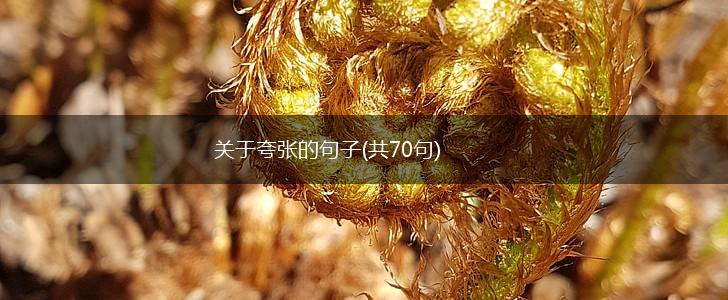关于夸张的句子(共70句),第1张