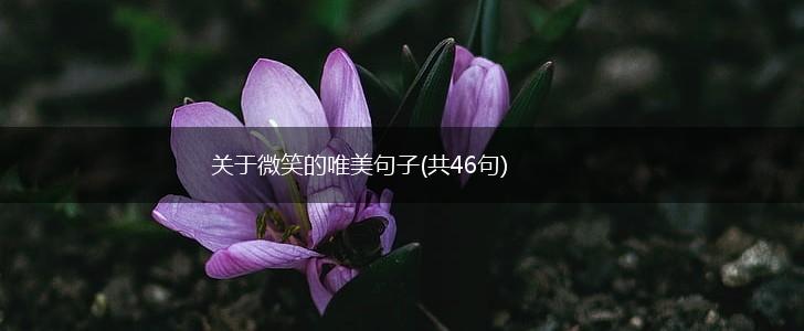 关于微笑的唯美句子(共46句),第1张