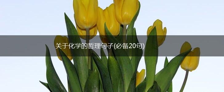 关于化学的哲理句子(必备20句),第1张