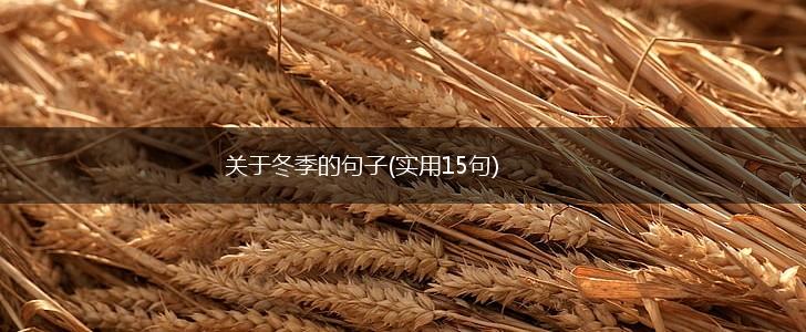 关于冬季的句子(实用15句),第1张