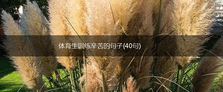 体育生训练辛苦的句子(40句),第1张