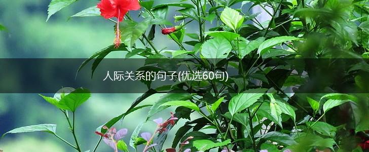 人际关系的句子(优选60句),第1张