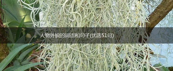 人物外貌的词语和句子(优选51句),第1张