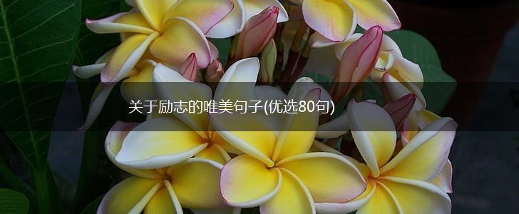 关于励志的唯美句子(优选80句),第1张