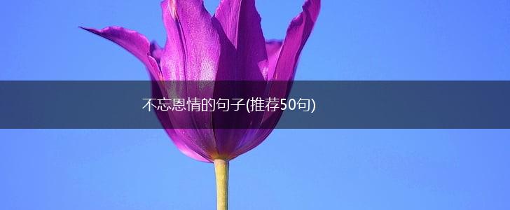 不忘恩情的句子(推荐50句),第1张