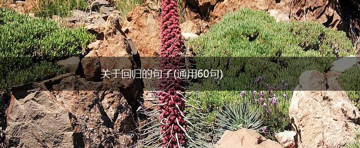 关于回归的句子(通用60句),第1张
