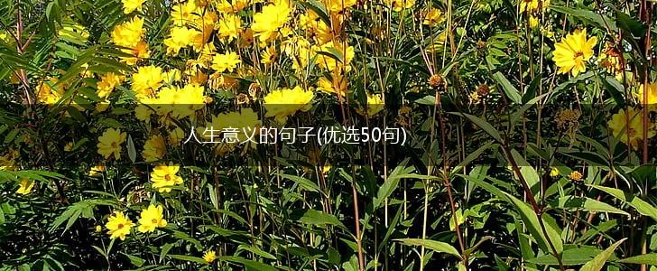 人生意义的句子(优选50句),第1张