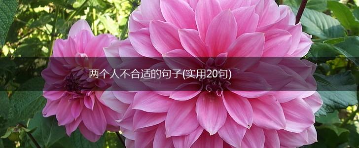 两个人不合适的句子(实用20句),第1张