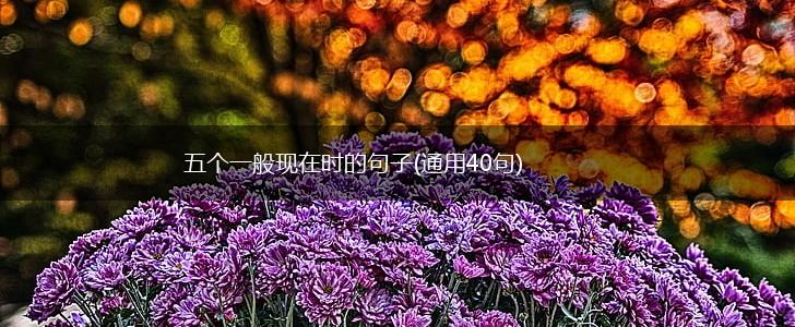 五个一般现在时的句子(通用40句),第1张