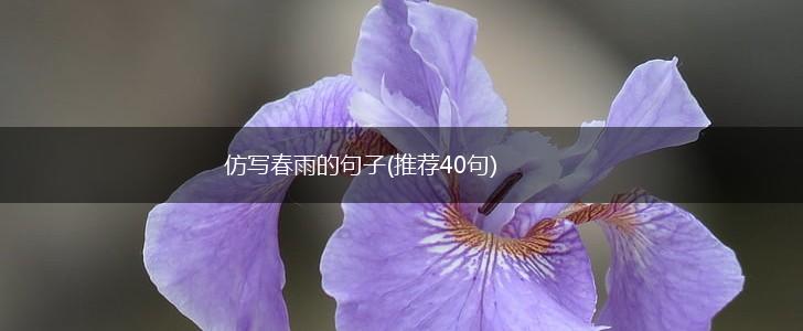 仿写春雨的句子(推荐40句),第1张