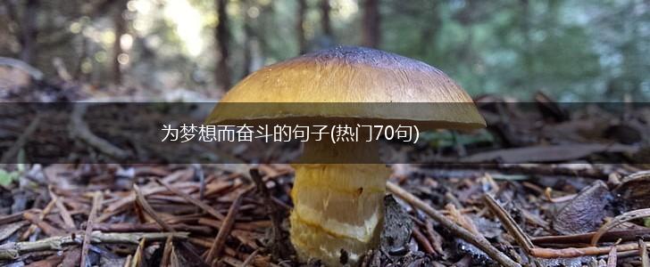 为梦想而奋斗的句子(热门70句),第1张