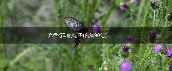 光盘行动的句子(合集90句),第1张