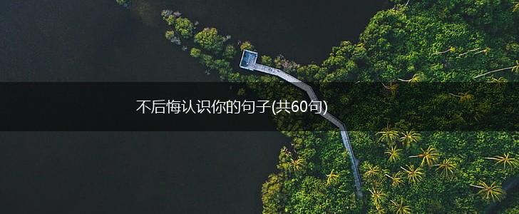 不后悔认识你的句子(共60句),第1张