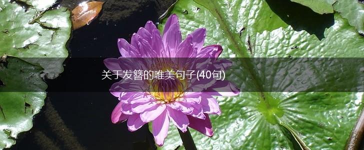 关于发簪的唯美句子(40句),第1张