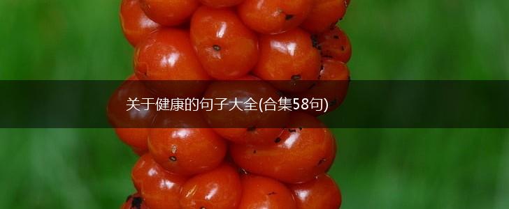 关于健康的句子大全(合集58句),第1张