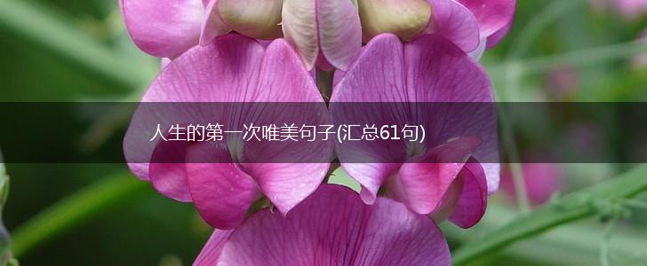 人生的第一次唯美句子(汇总61句),第1张