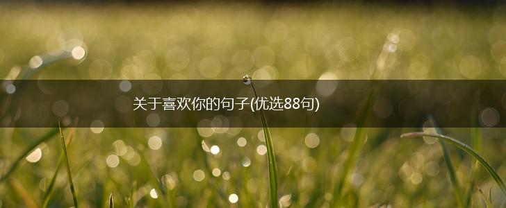 关于喜欢你的句子(优选88句),第1张