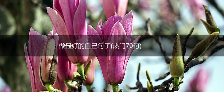 做最好的自己句子(热门70句),第1张