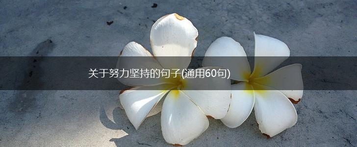 关于努力坚持的句子(通用60句),第1张