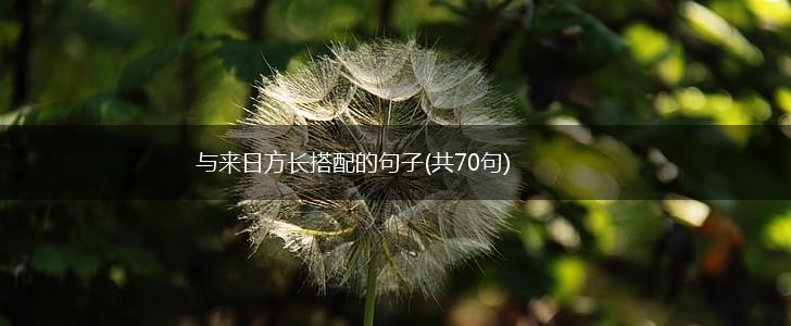 与来日方长搭配的句子(共70句),第1张