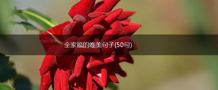 全家福的唯美句子(50句),第1张