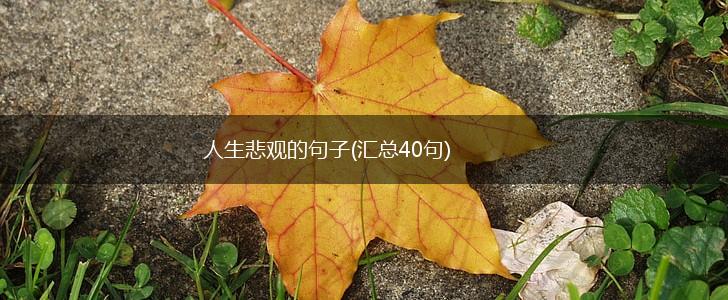 人生悲观的句子(汇总40句),第1张