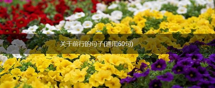 关于前行的句子(通用60句),第1张