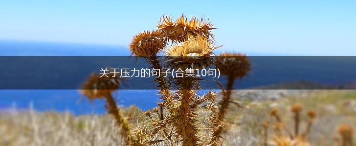 关于压力的句子(合集10句),第1张