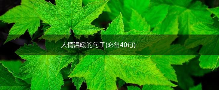 人情温暖的句子(必备40句),第1张