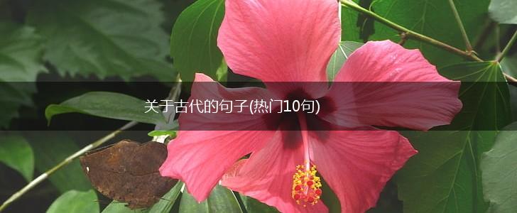 关于古代的句子(热门10句),第1张