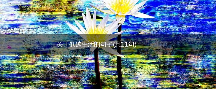 关于低碳生活的句子(共11句),第1张