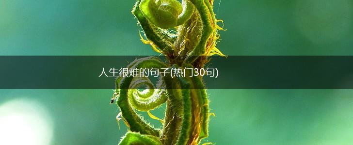 人生很难的句子(热门30句),第1张