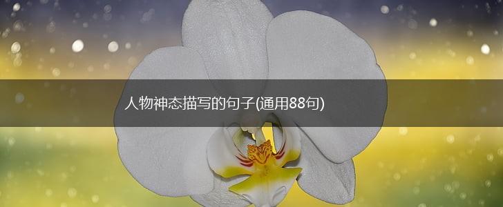 人物神态描写的句子(通用88句),第1张